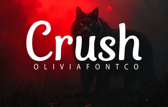 Crush: A Designer’s Honest Review for Real Branding