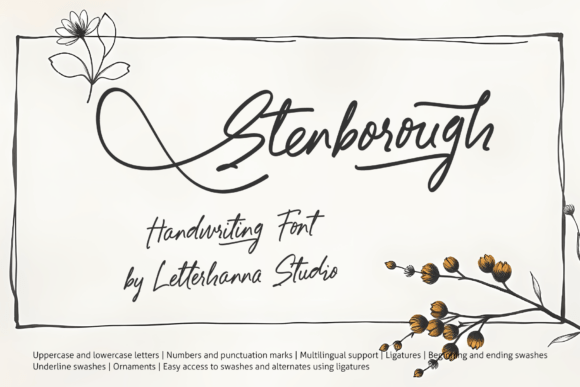 Stenborough Font Review for Brand Designers