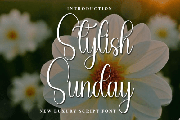 Stylish Sunday: A Warm Typeface for Crafters
