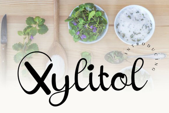 Xylitol Typeface: A Calm Review for Editorial Design